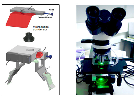 FLUOLED® Easy (fig. on left) on a transmitted light microscope: the LED fluorescence module is designed to attach to a standard bright field microscope and is used in transmission mode. 