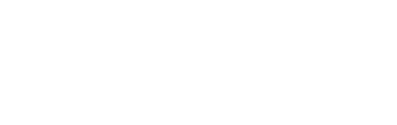 Stant logo